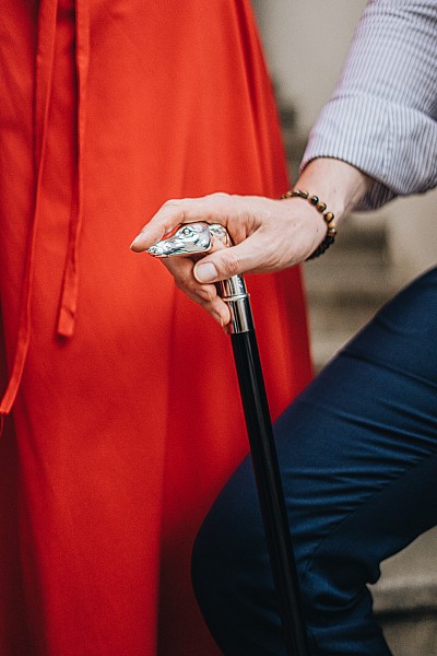 Vycházková hůl Luxusní postříbřená s chrtí hlavou