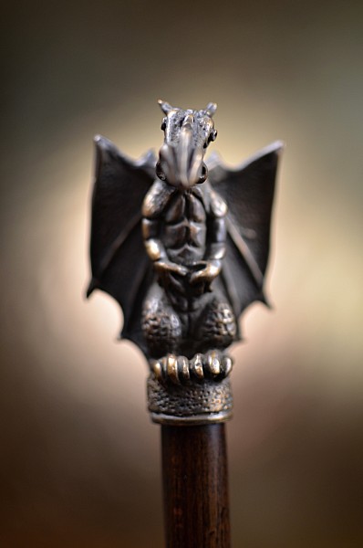 Sběratelská hůl Drak (poslední kus)