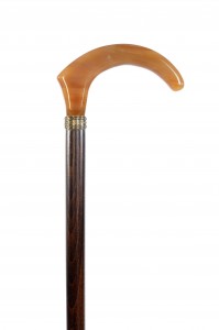 Walking stick Amber
