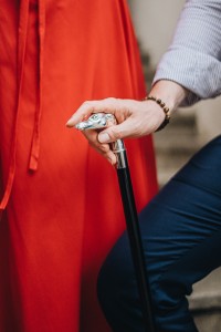 Walking cane Luxurious silver with greyhound head