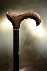 Walking stick Gastrock Maserbirke