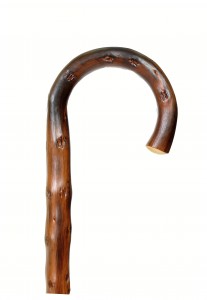 Walking stick Chestnut 2