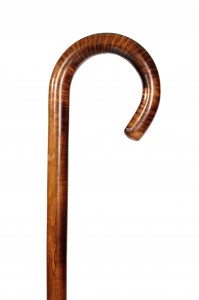 Walking stick Fayet maple
