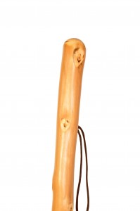 Walking cane natural light