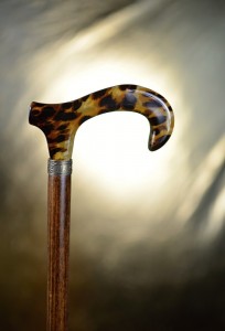 Walking stick Leopard