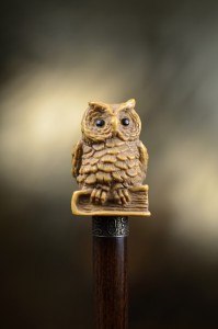 Walking cane Wise Owl