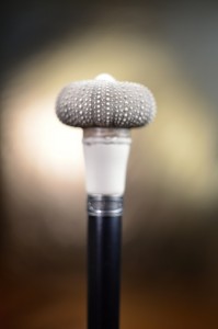 Collectors' walking cane Sea Hedgehod