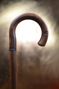 Walking stick for nature