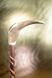 Walking stick whit horn and spiral