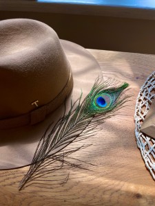 Peacock's eye feather behind the hat