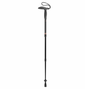 Trekking pole Leki Super Micro 66-90 cm