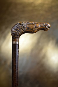 Walking stick racing horse