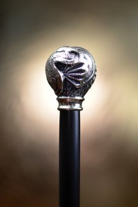 Collector's walking stick Water monster