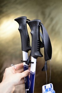 Trekking poles Leki Lenhart 85 - 140 cm