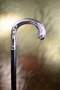 Walking stick luxury Fayet Dr. House