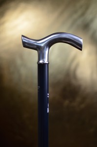 Walking stick Gastrock Silber Fritz