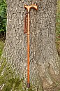 Vycházková hůl skládací Woody (82-92 cm)