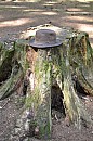 Klobouk Traveller CO/PES Stetson 